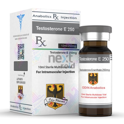 Test E 250 – Odin Pharma Steroidi iniettabili