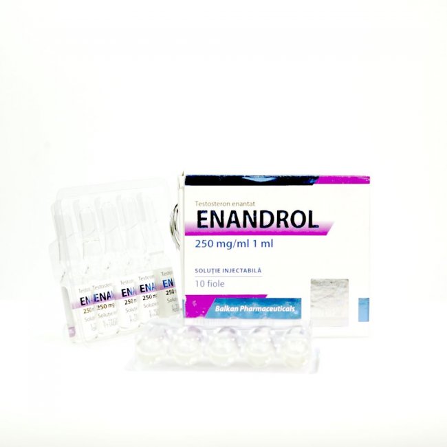Enandrol (Testosterona E) 250 mg Balkan Pharmaceuticals Iniezione di steroidi