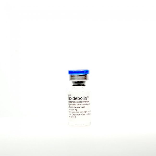 Boldebolin Original 100 mg Organon Boldenone