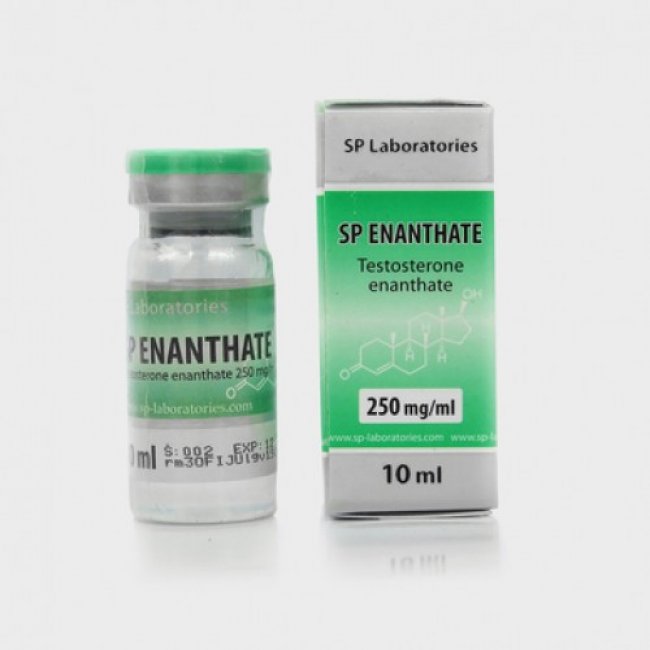 SP Enanthate (Testosteron Enanthate) SP Laboratories Iniezione di steroidi
