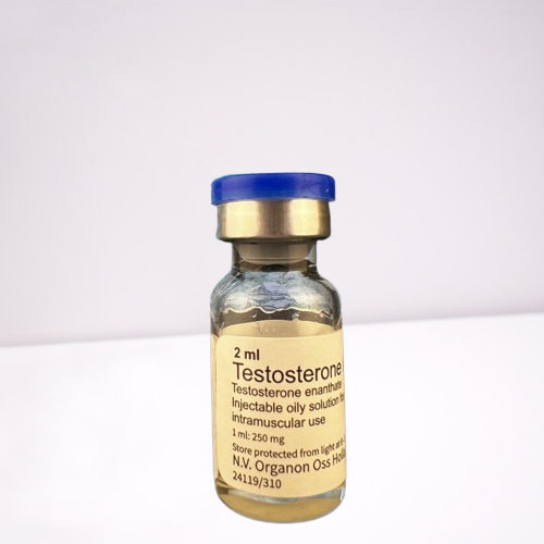 Testosterone Depo 250 mg Organon Iniezione di steroidi