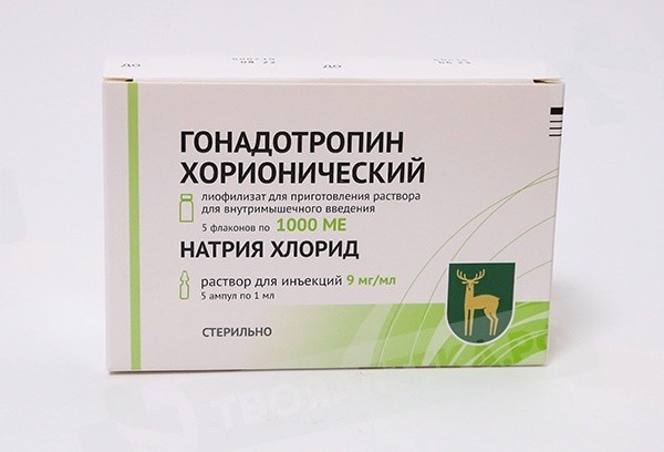 Gonadotropina corionica FGYP Pianta endocrina di Mosca Gonadotropina